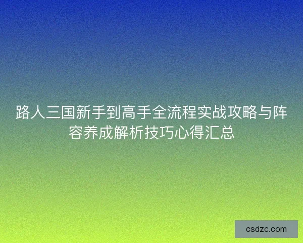 路人三国新手到高手全流程实战攻略与阵容养成解析技巧心得汇总