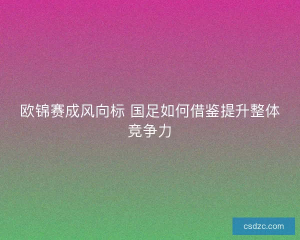 欧锦赛成风向标 国足如何借鉴提升整体竞争力