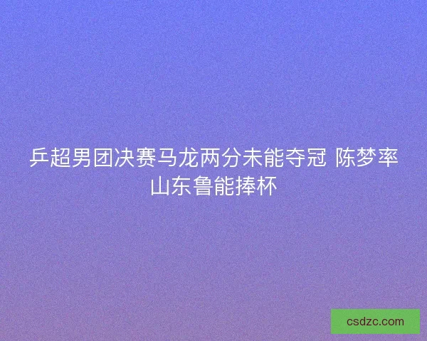 乒超男团决赛马龙两分未能夺冠 陈梦率山东鲁能捧杯