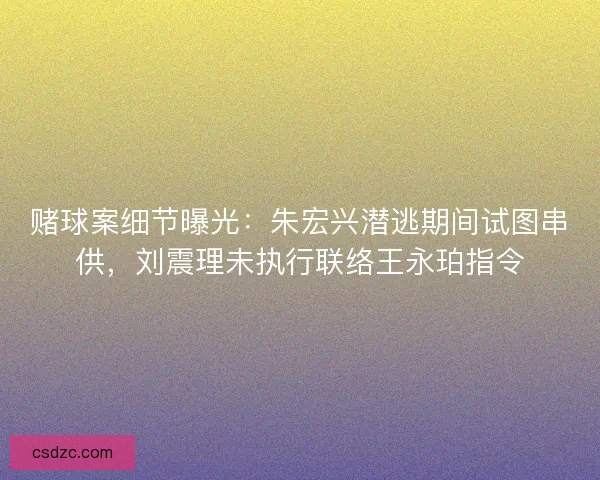 赌球案细节曝光：朱宏兴潜逃期间试图串供，刘震理未执行联络王永珀指令