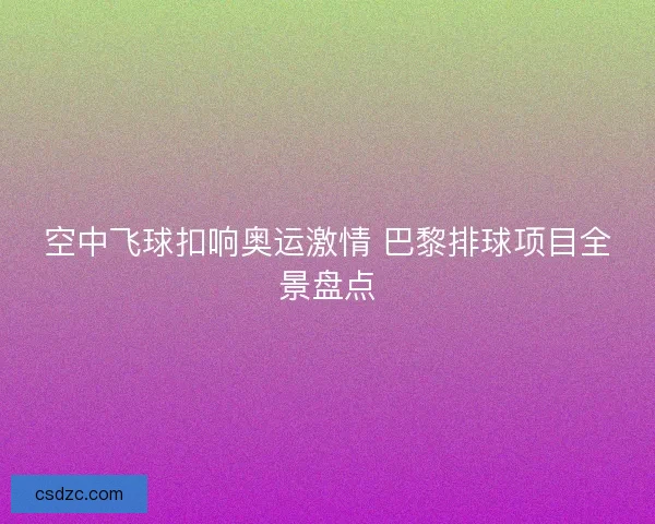 空中飞球扣响奥运激情 巴黎排球项目全景盘点
